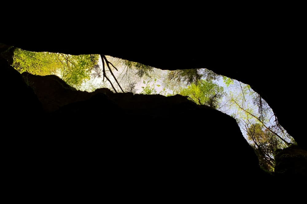 Scorcio dal basso della Forra della Cjanevate, con alte pareti rocciose, luce naturale che filtra dall'alto e vegetazione rigogliosa.